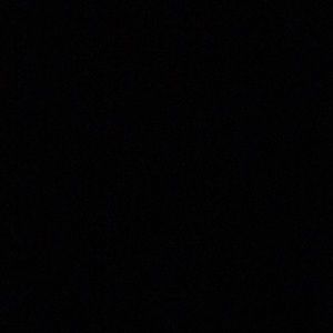 Meet your Posher, Piper